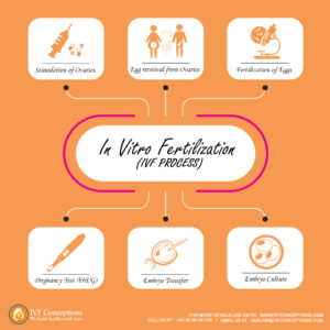 IVF with egg donor success rate