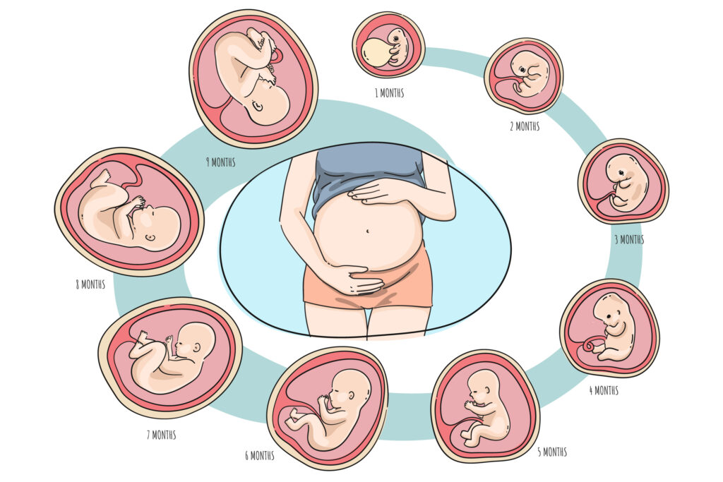 Surrogacy in Argentina via gestational carrier