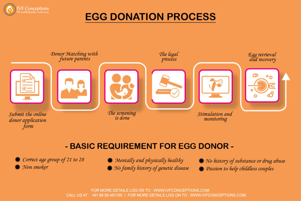What is Egg Donation process