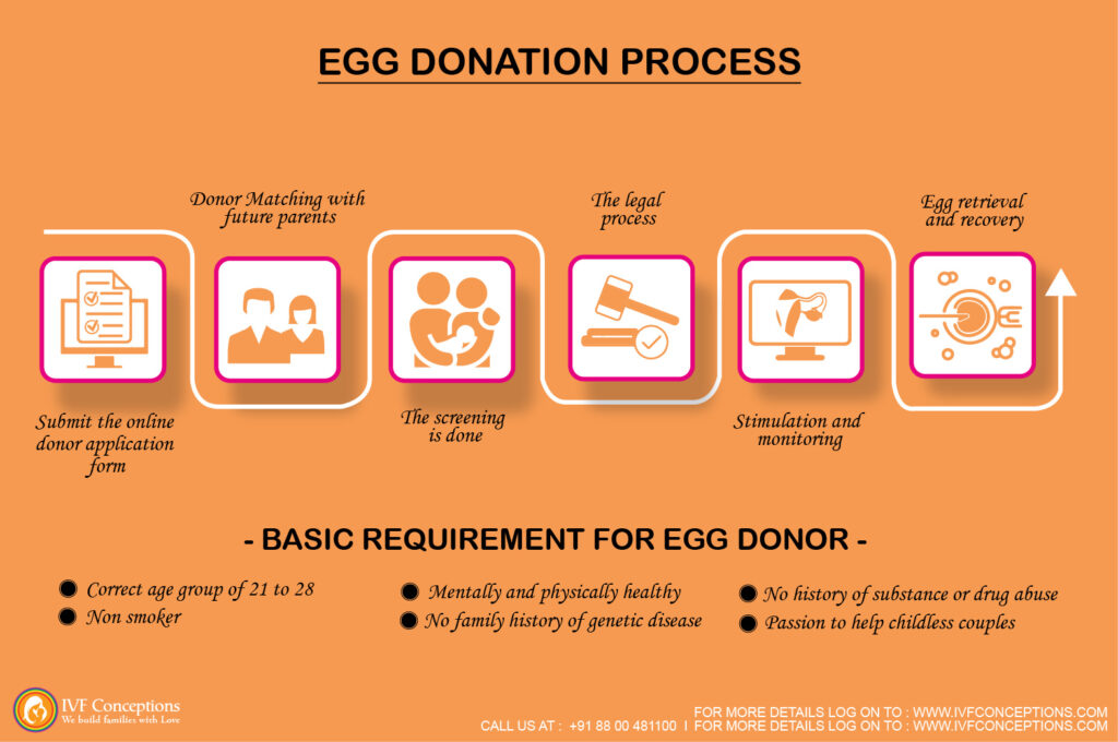 What is Egg Donation