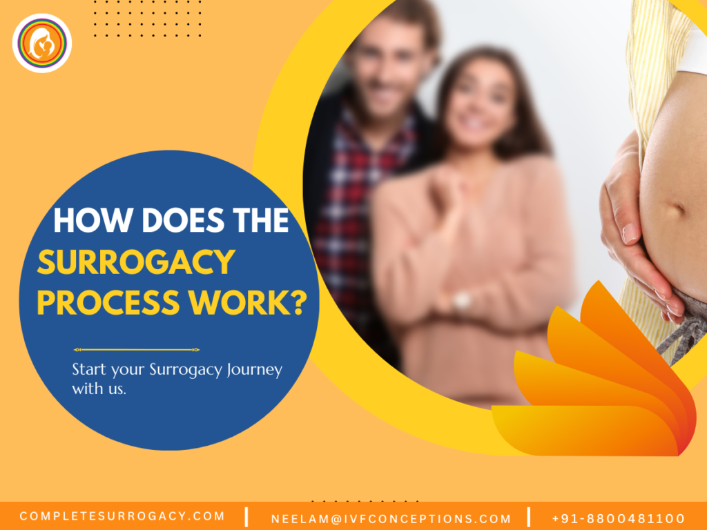 How does the Surrogacy Process work