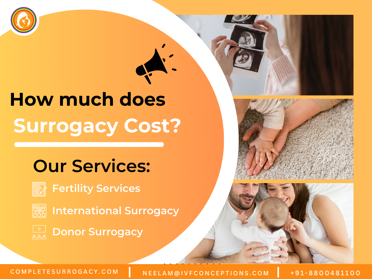 How Much Does Surrogacy Cost? | Complete Surrogacy Consulting Services