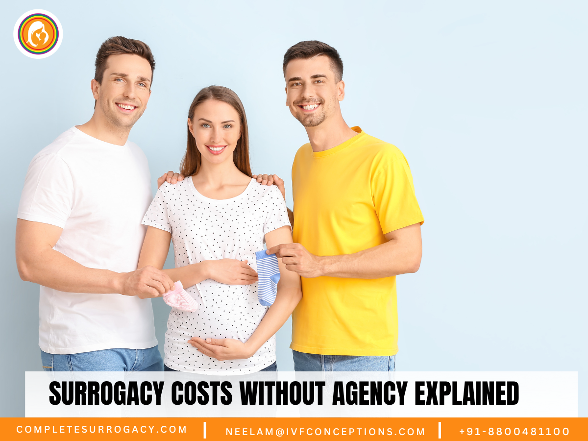 Surrogacy Costs Without Agency Explained