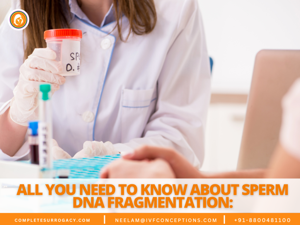 All You Need to Know About Sperm DNA Fragmentation Factors, Causes, Significance, Tests, and Treatment