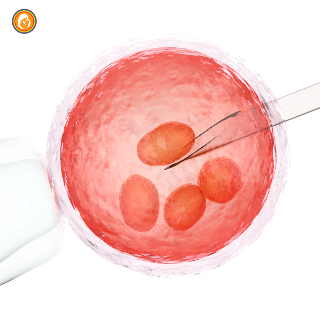 Embryo Screening