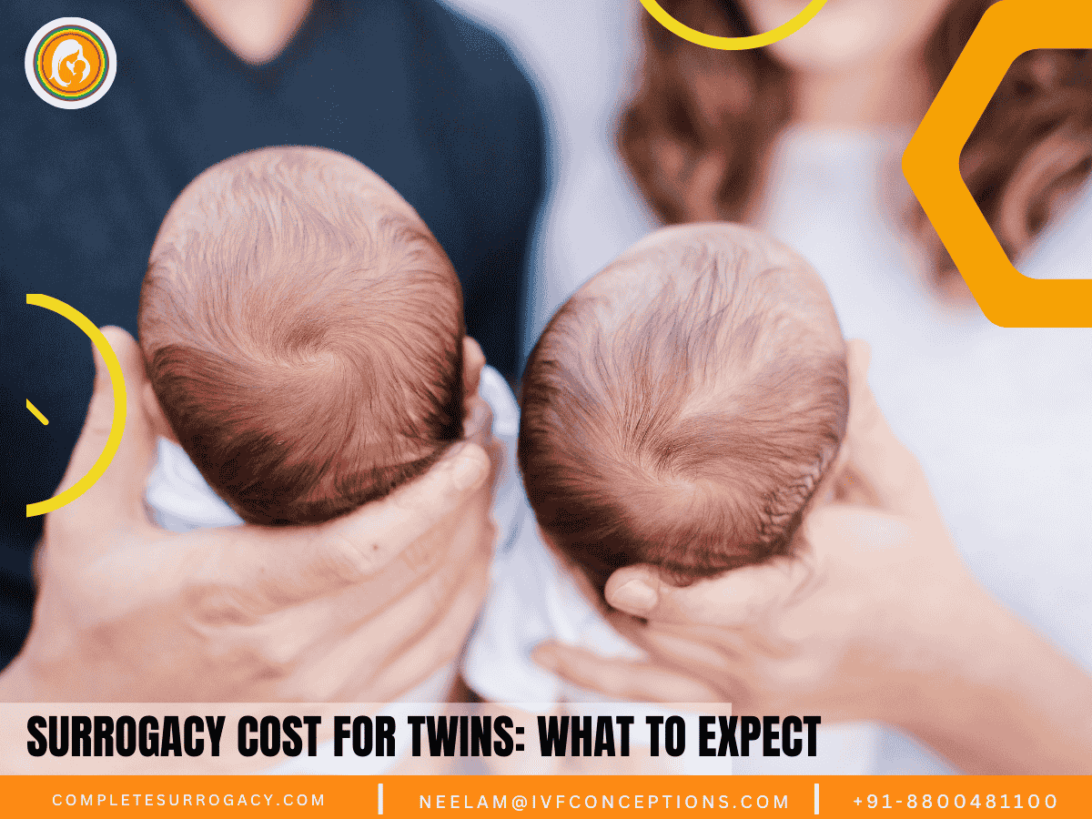 Surrogacy Cost for Twins What to Expect