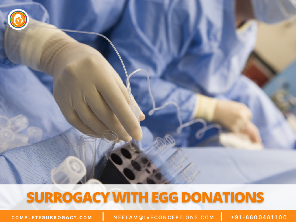 Surrogacy With Egg Donations A Comprehensive Guide for Intended Parents