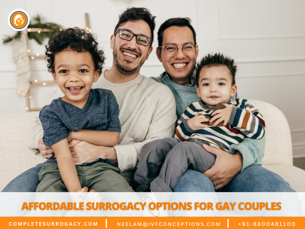 Affordable Surrogacy for Gay Couples Options