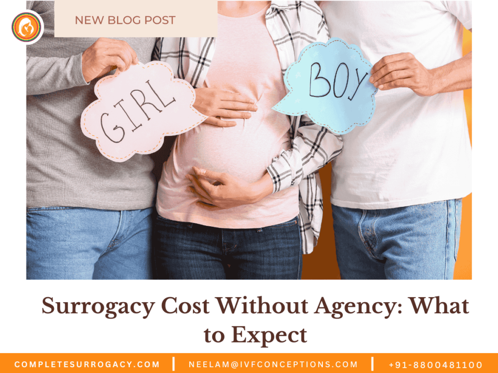 Surrogacy Cost Without Agency: What to Expect