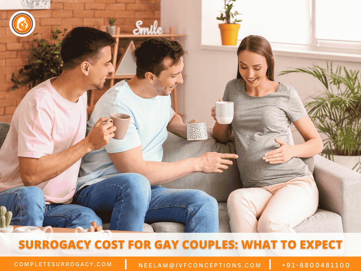 Surrogacy Cost for Gay Couples What to Expect