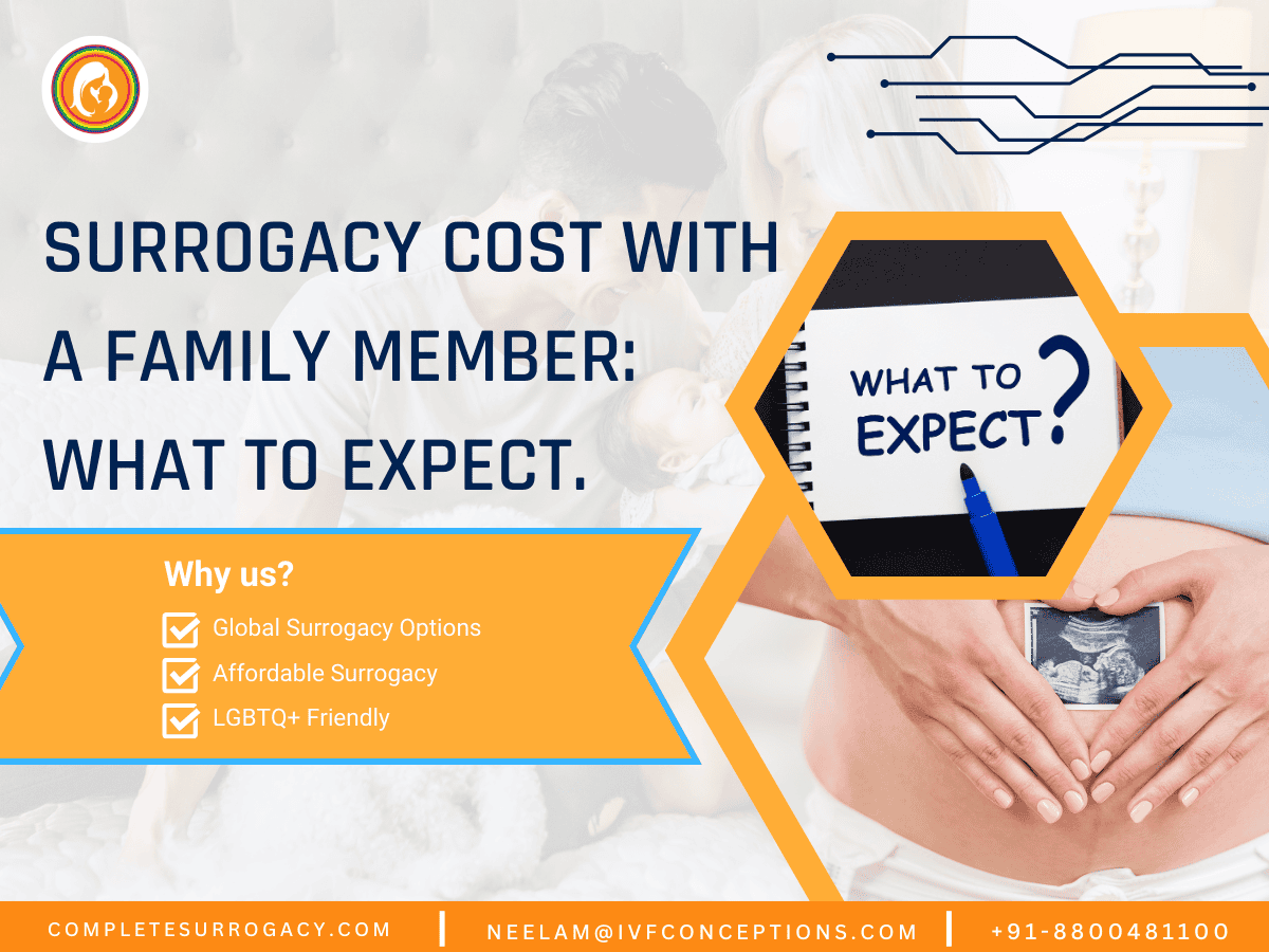 Surrogacy cost with a family member What to Expect.