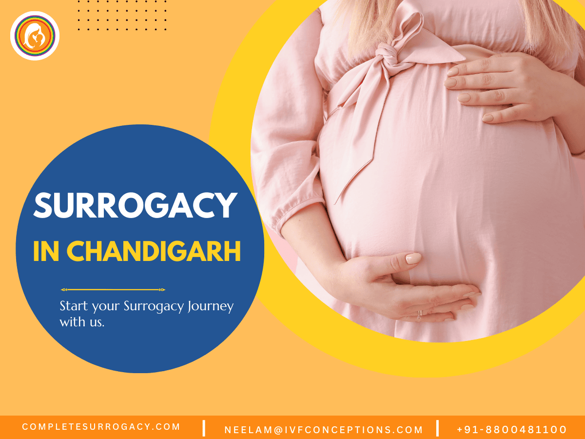 Surrogacy in Chandigarh