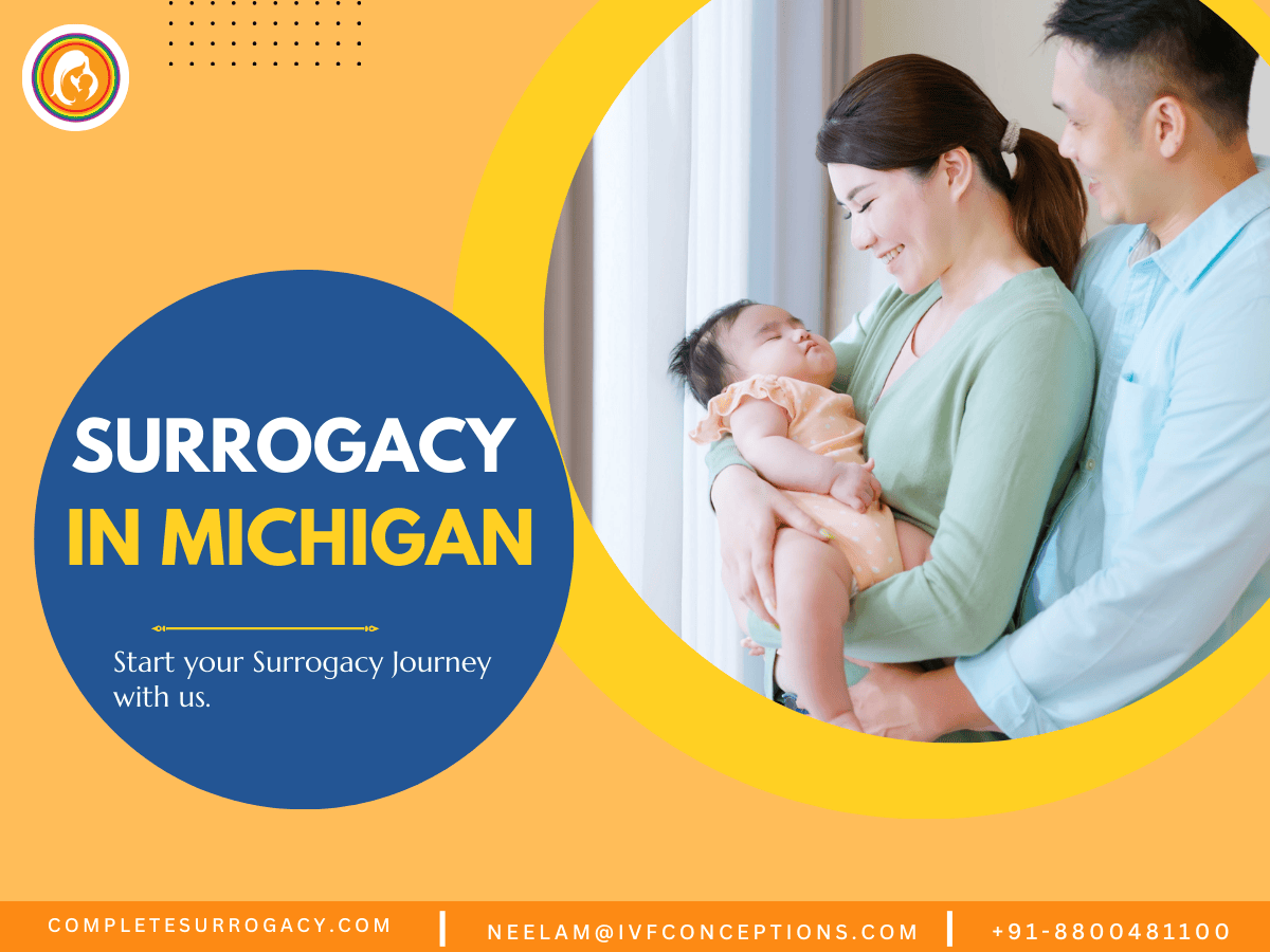 Gestational Surrogacy In Michigan