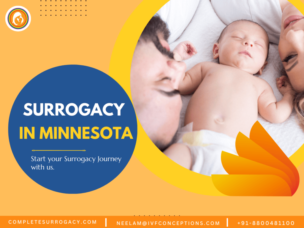 Gestational Surrogacy In Minnesota