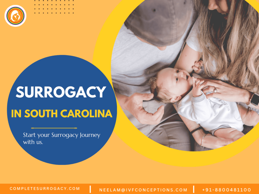 Gestational Surrogacy In South Carolina: A Comprehensive Guide for Surrogacy Journey