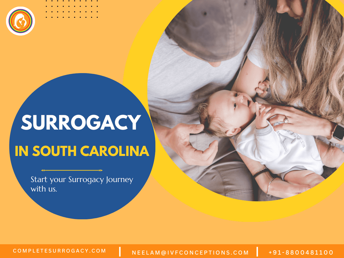 Gestational Surrogacy In South Carolina