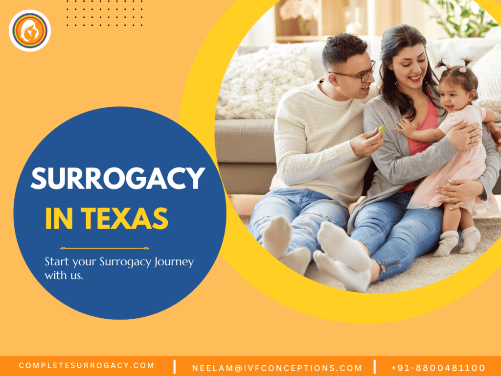 Gestational Surrogacy In Texas: A Comprehensive Guide