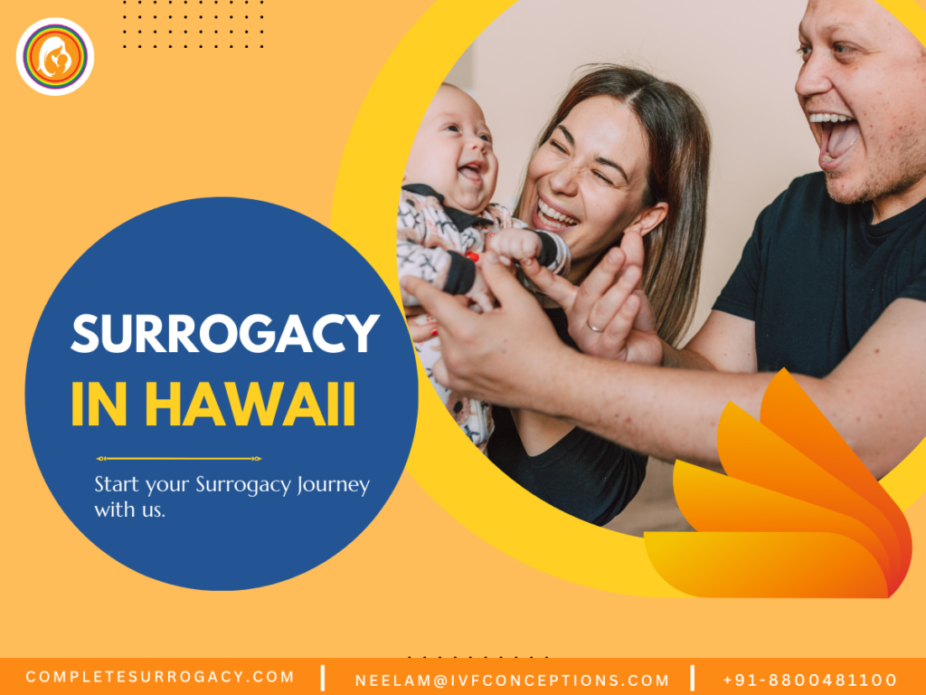 Surrogacy In Hawaii: Gestational Surrogacy Cost, Process and Legal Aspects