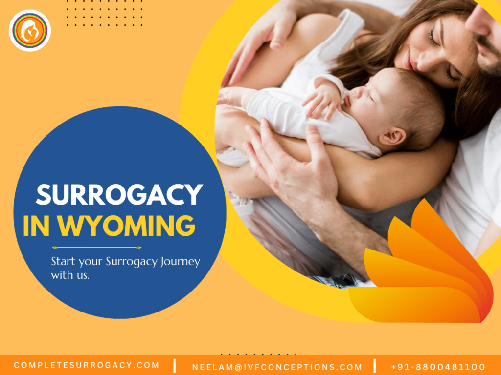 Gestational Surrogacy In Wyoming: Wyoming Surrogacy Law