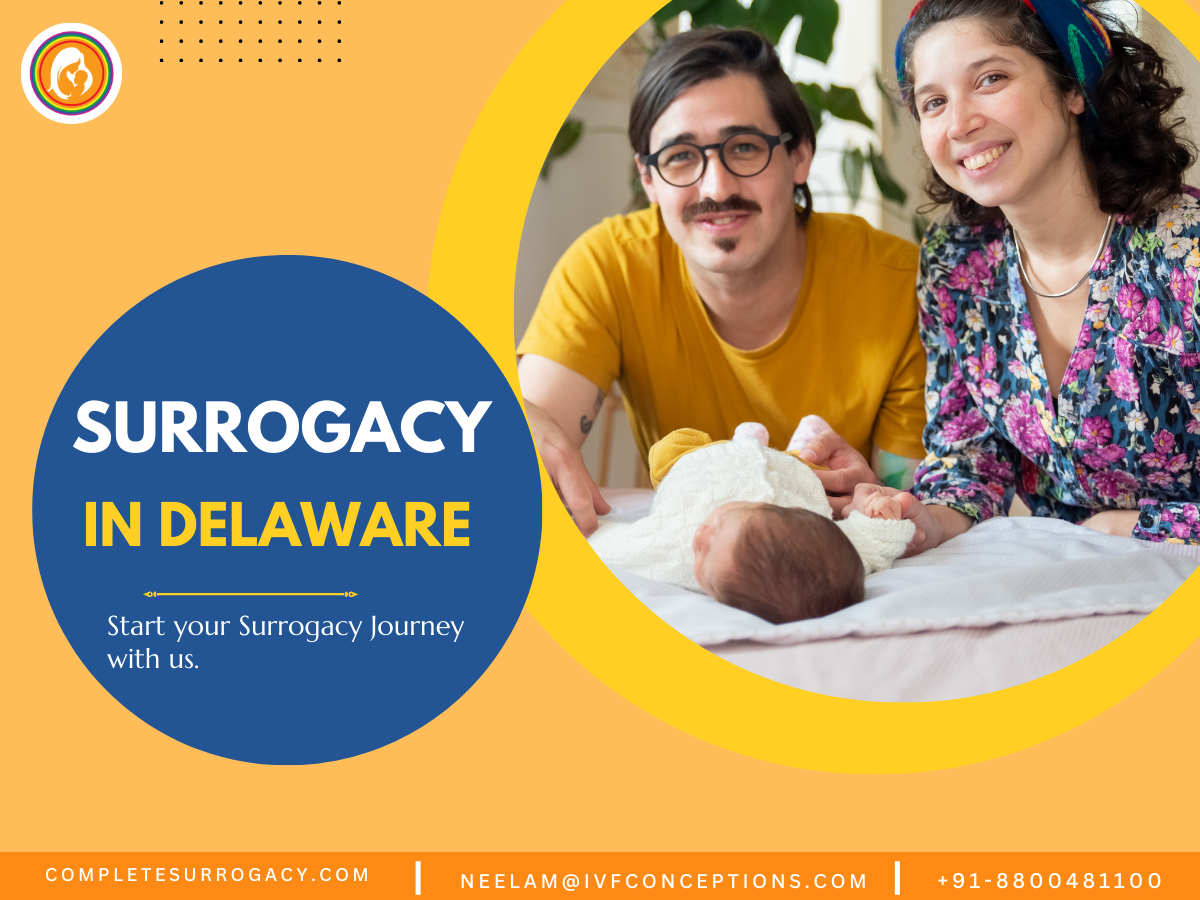 Surrogacy in Delaware: A Comprehensive Guide