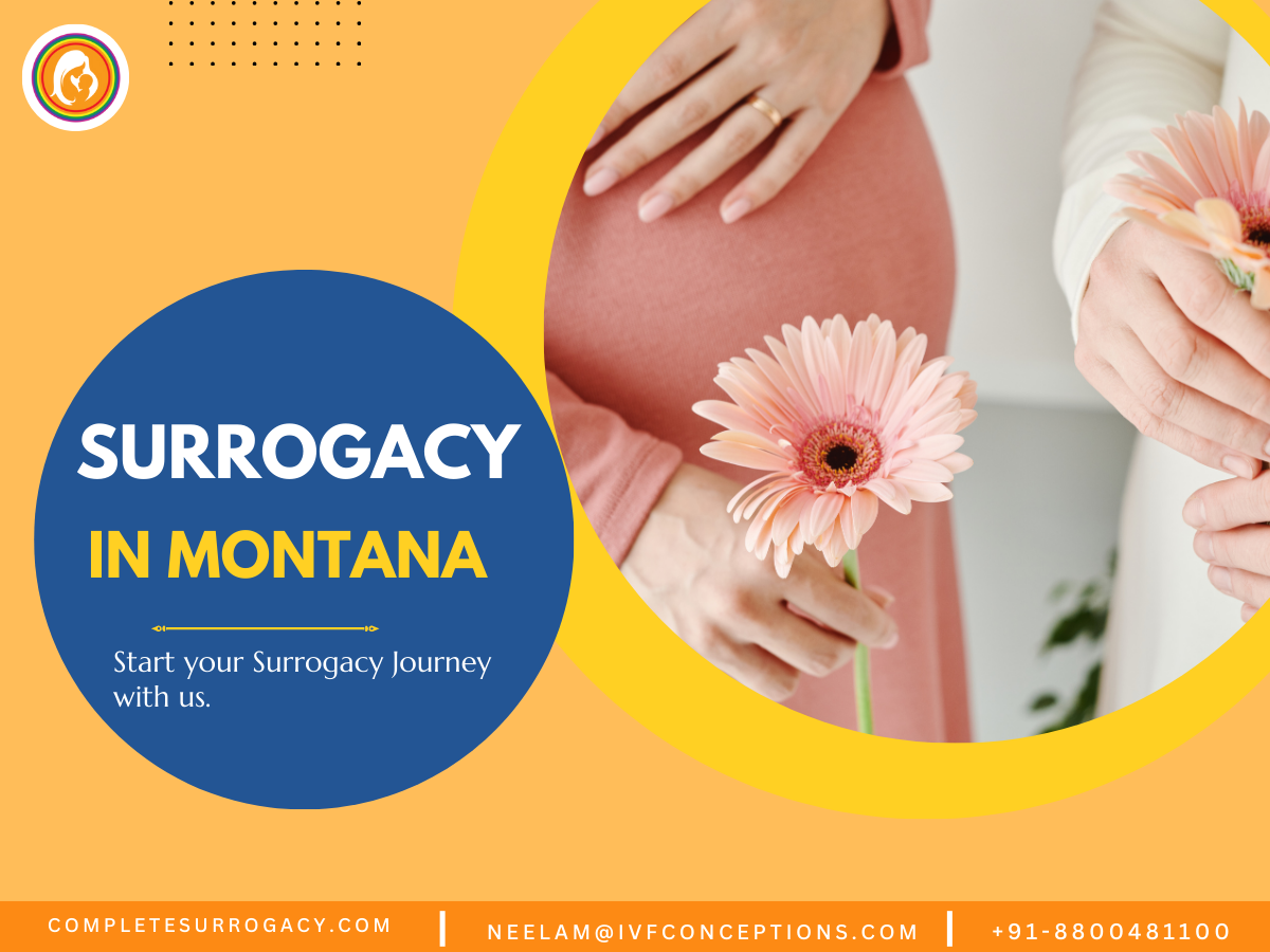 Surrogacy in Montana: A Guide for Intended Parents and Gestational Carriers