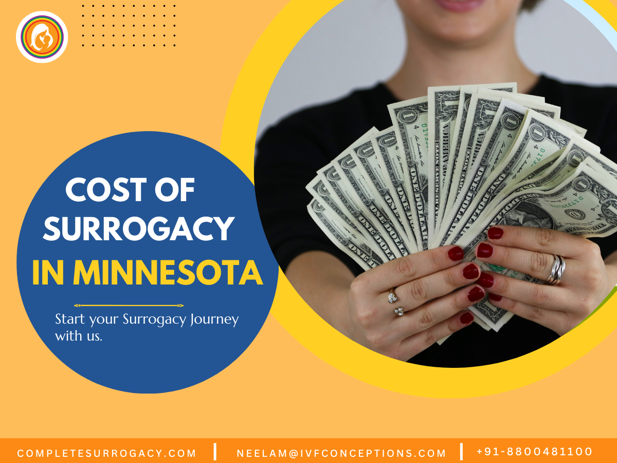 Cost of Surrogacy in Minnesota