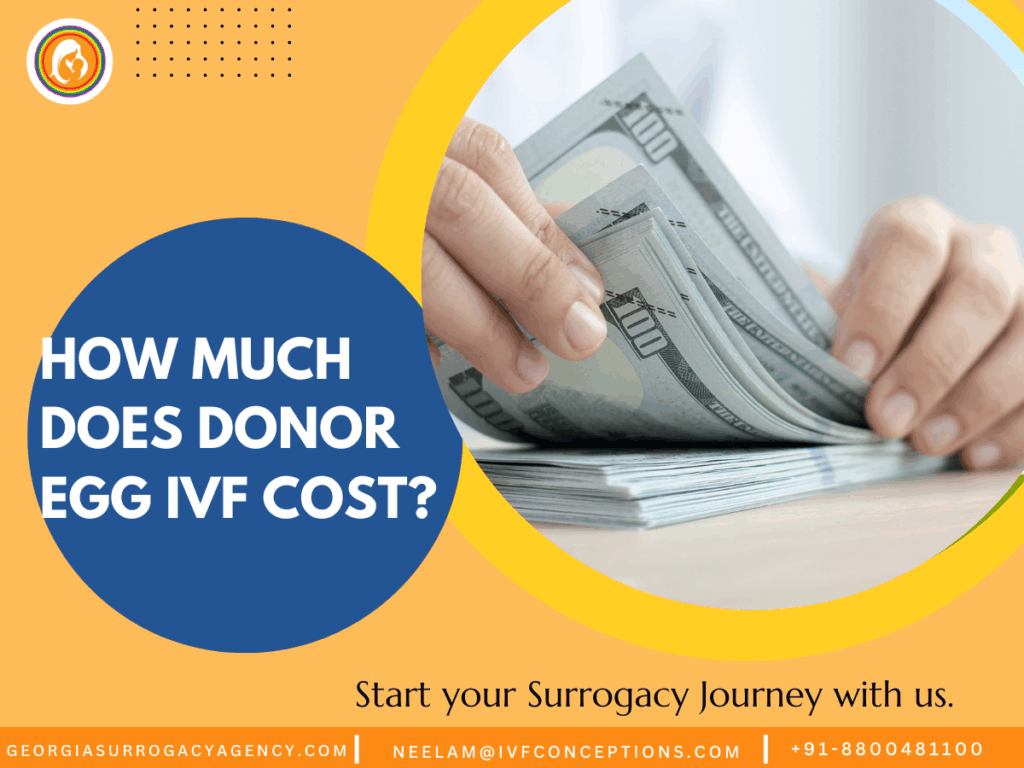 How Much Does Donor Egg IVF Cost