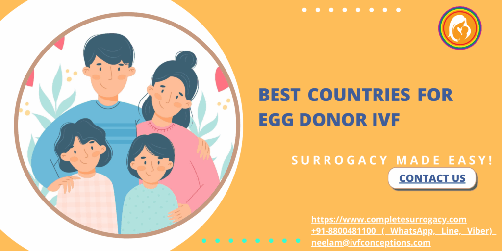 Best Countries for Egg Donor IVF Process