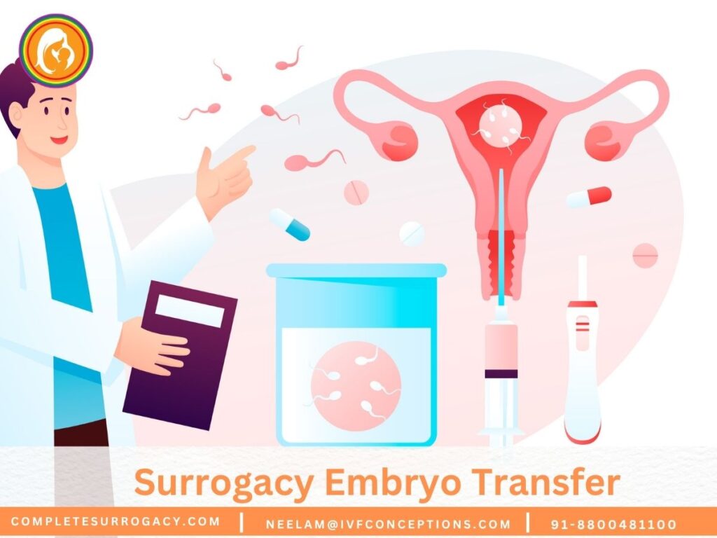 Surrogacy Embryo Transfer