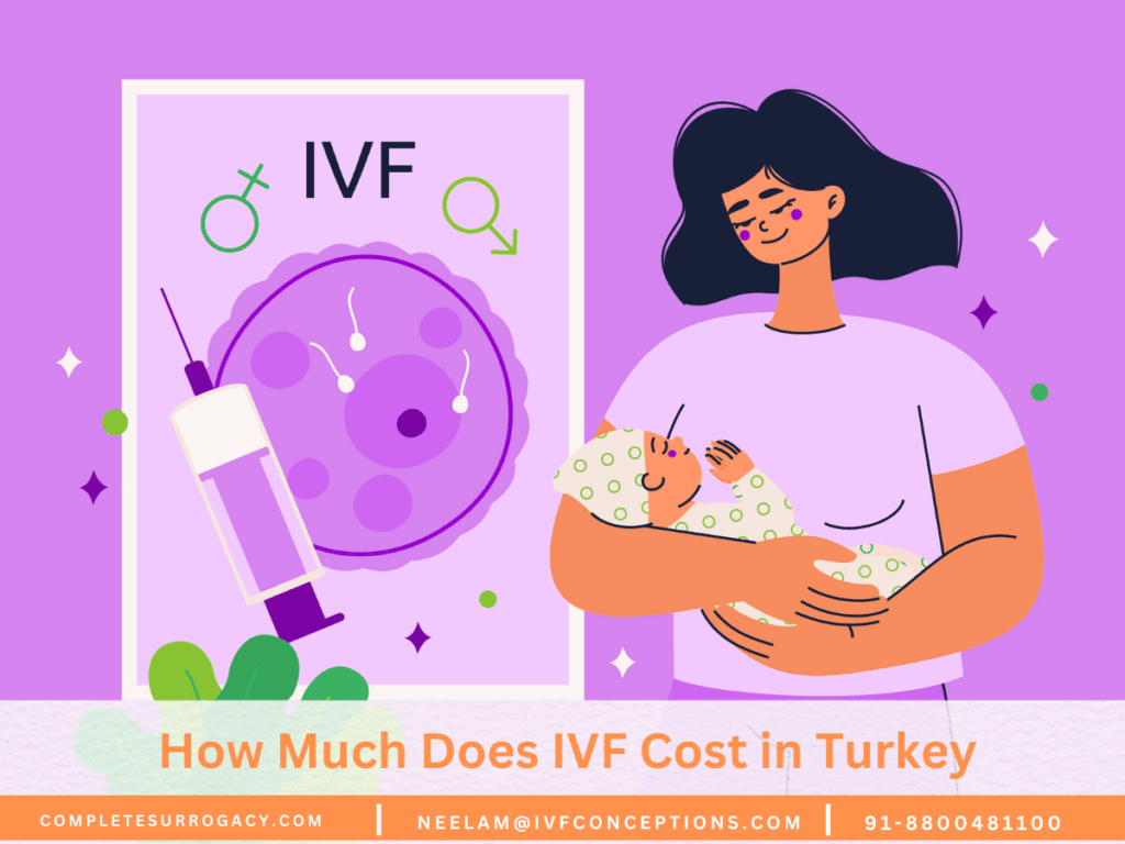 How Much Does IVF Cost in Turkey