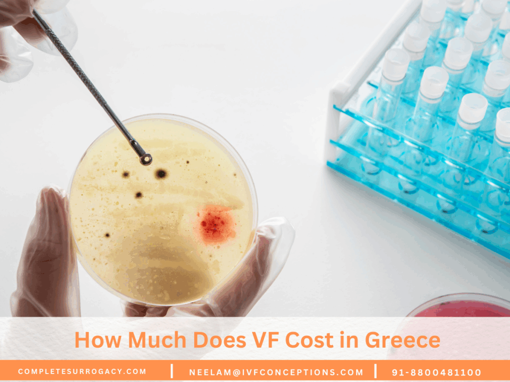 How Much Does VF Cost in Greece