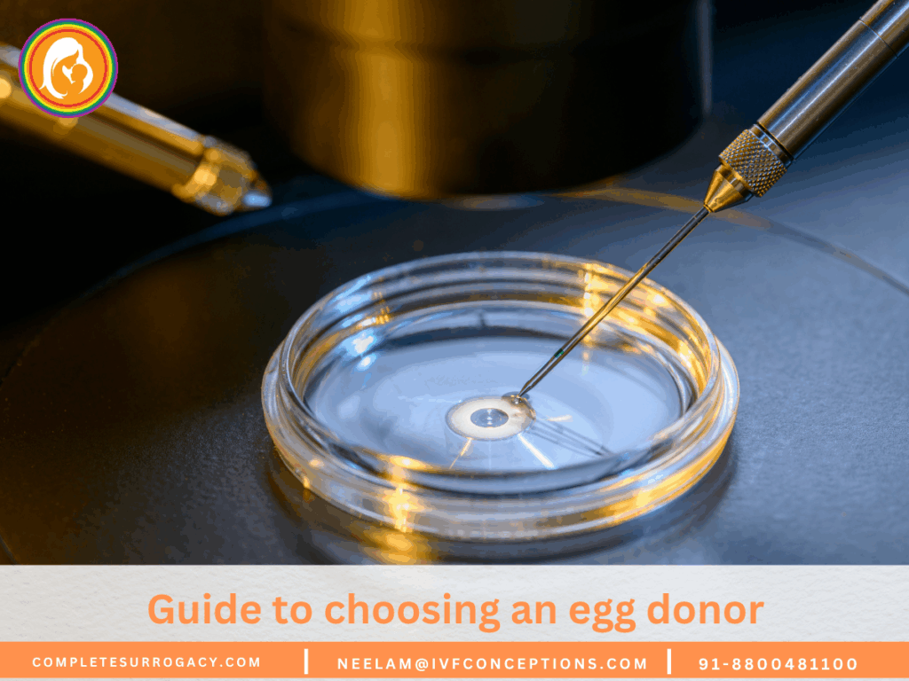 Guide to choosing an egg donor