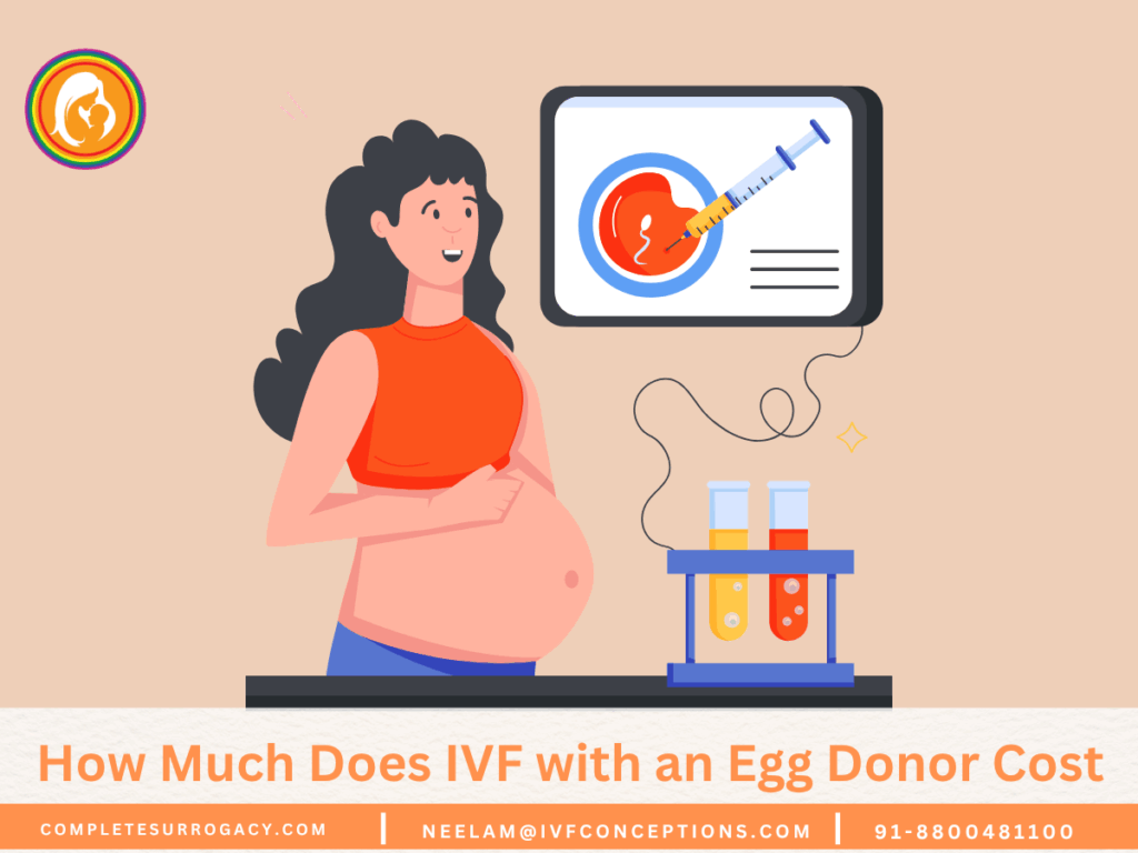 How Much Does IVF with an Egg Donor Cost