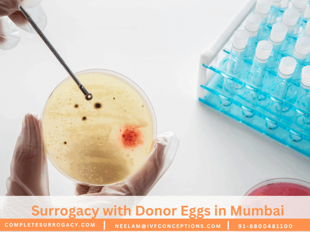 Surrogacy with Donor Eggs in Mumbai