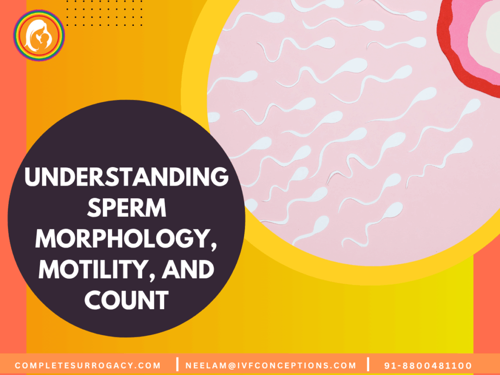Understanding Sperm Morphology, Motility, and Count