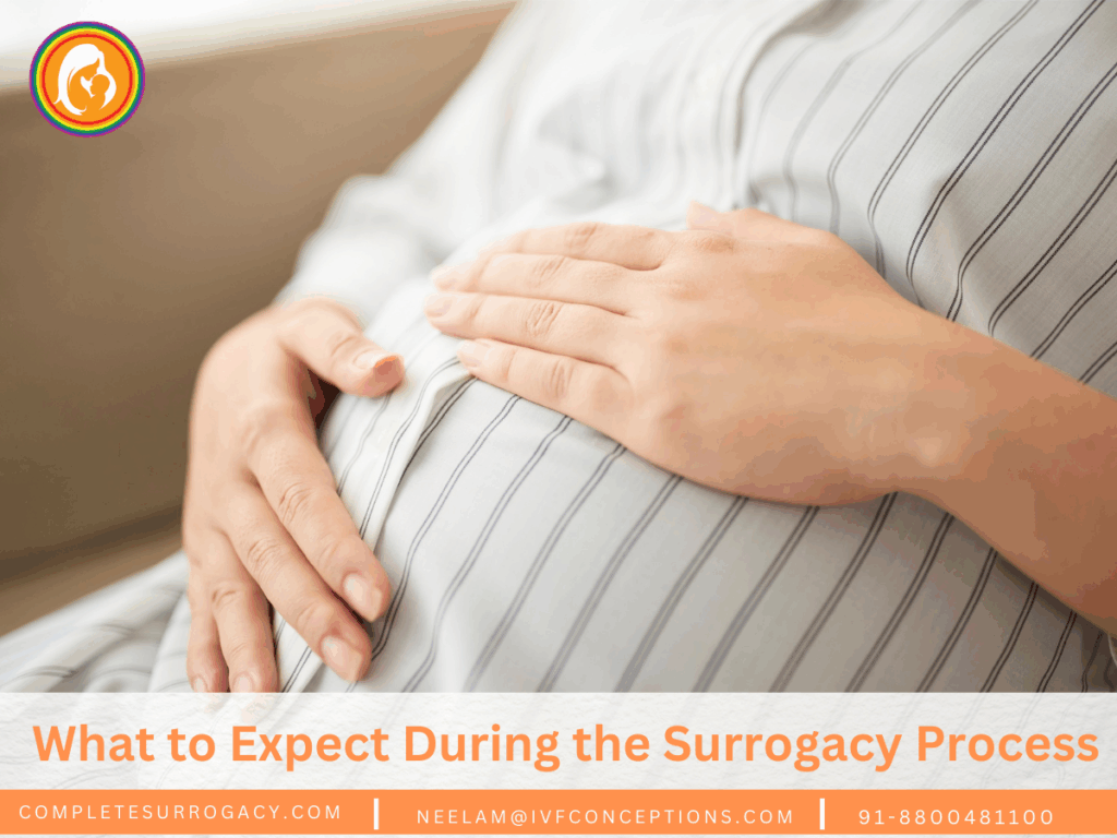 What to Expect During the Surrogacy Process – Month by Month