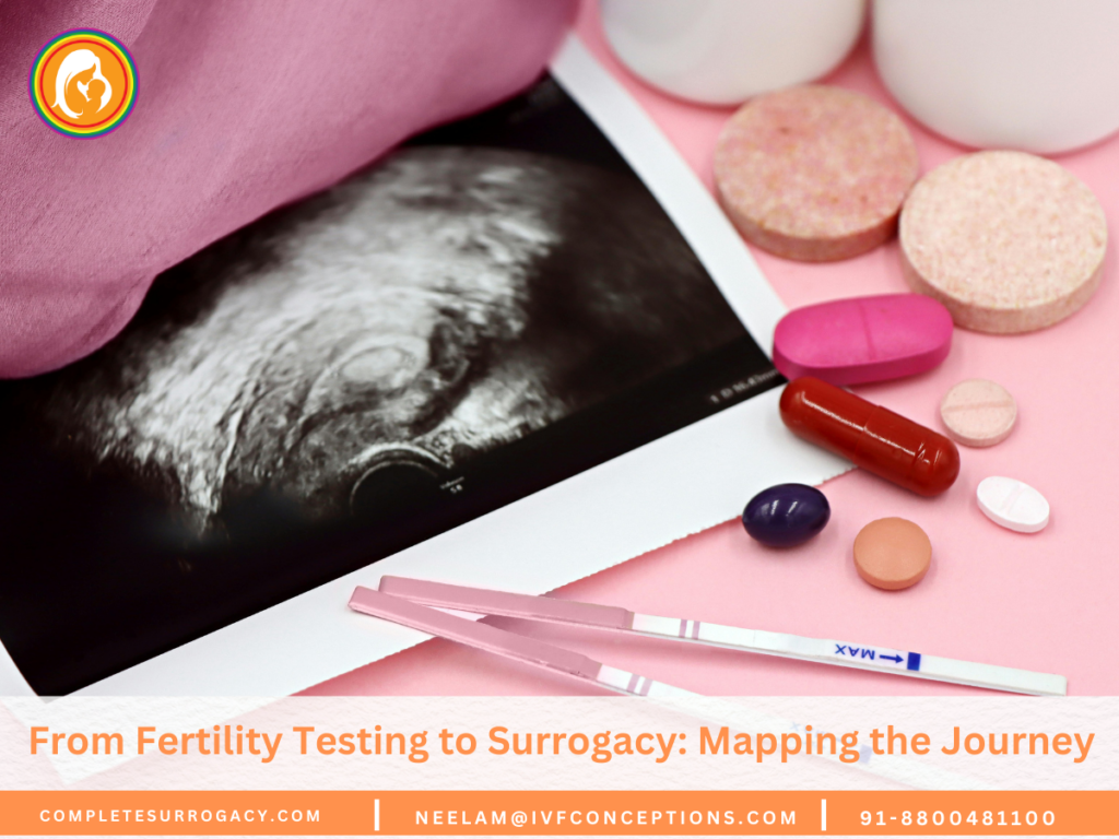 From Fertility Testing to Surrogacy Mapping the Journey