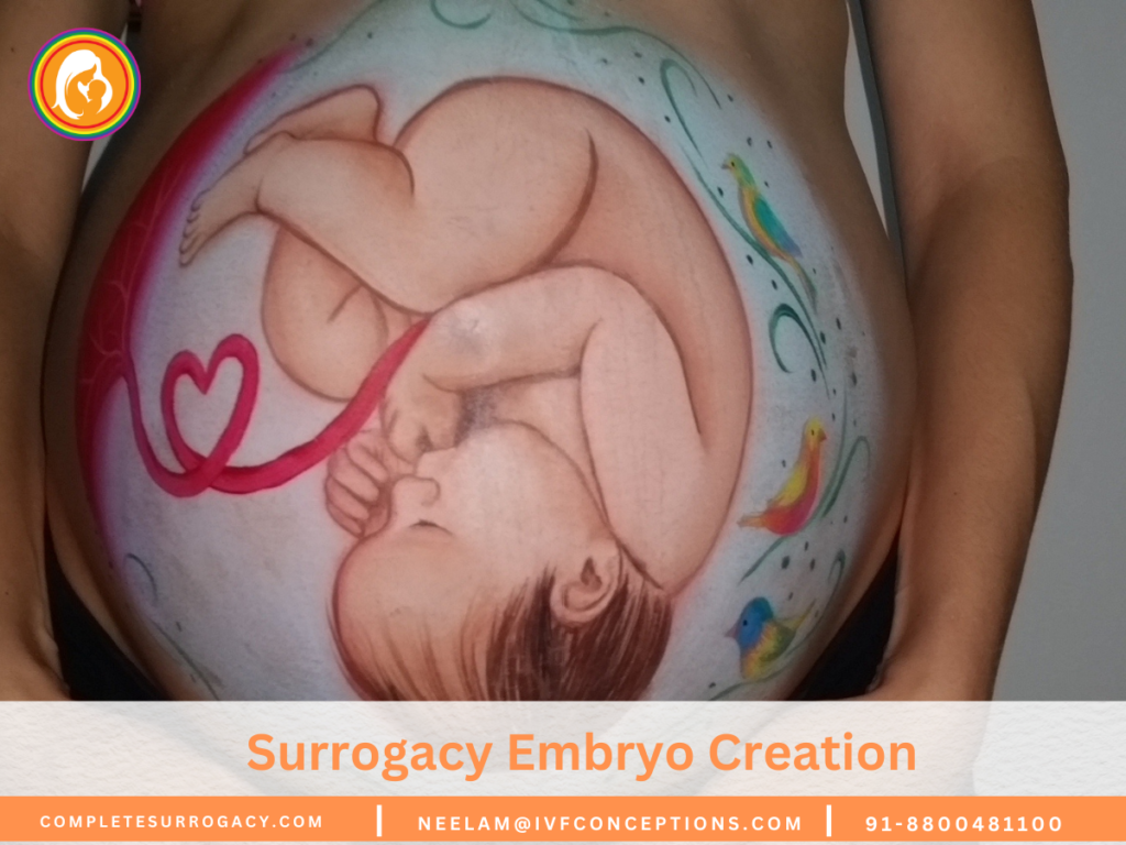 Surrogacy Embryo Creation