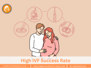 High IVF Success Rate