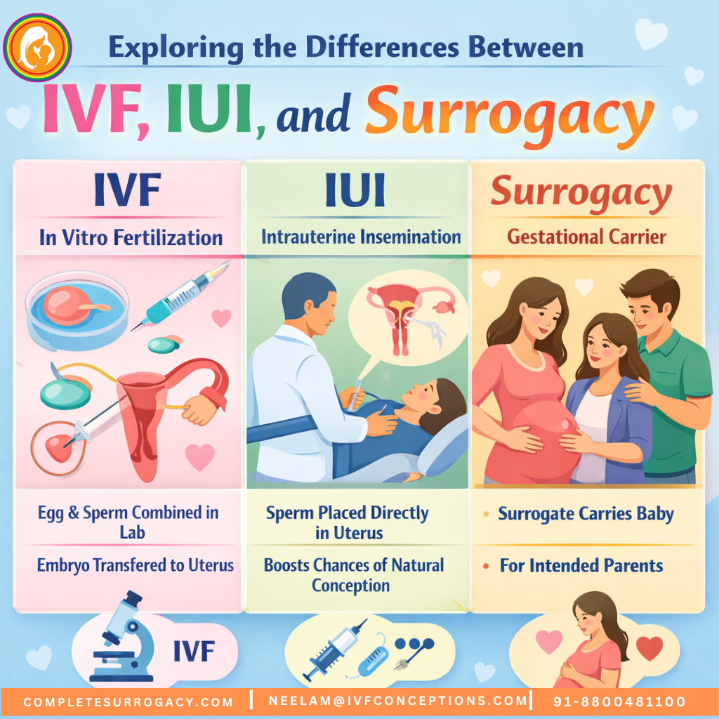 Exploring the Differences Between IVF, IUI, and Surrogacy