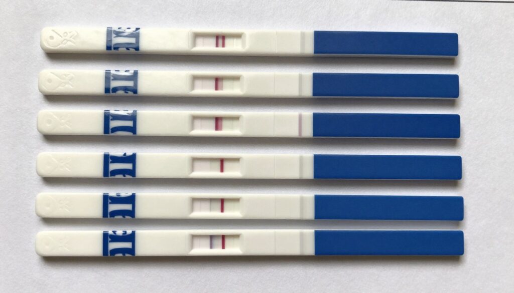 Pregnancy test results progression Pregnancy test results progression